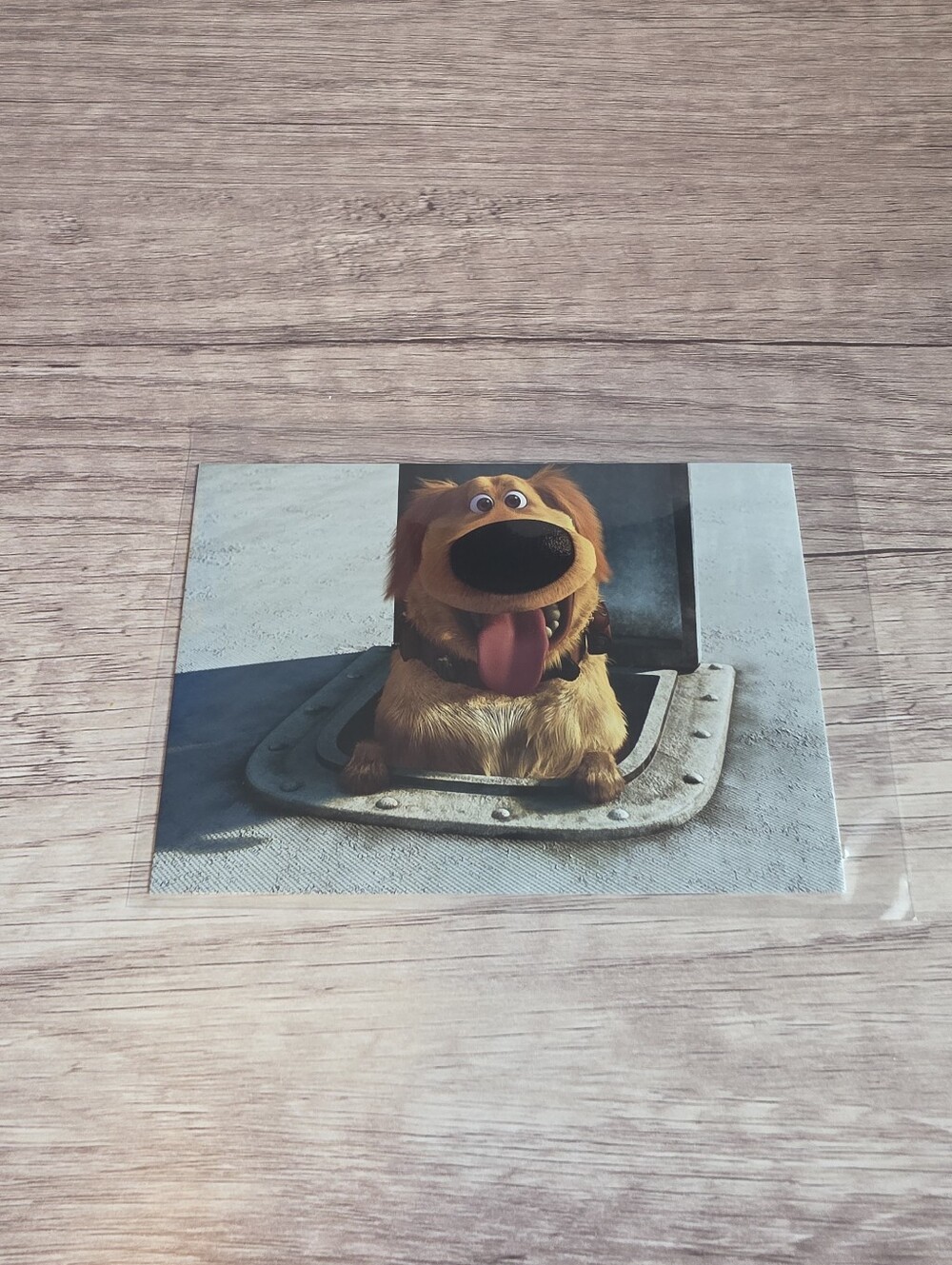 ✨️BUY 3 FOR $22 Dug, Up, 2009 Postcard